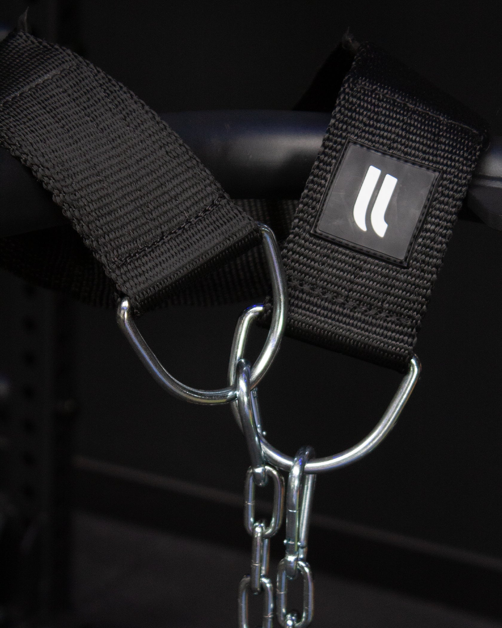 Close-up of the heavy-duty steel chain and carabiner attached to the Fortex dip belt.